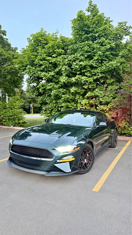 2020 Ford mustang