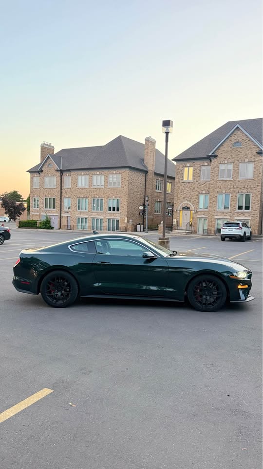 2020 Ford mustang