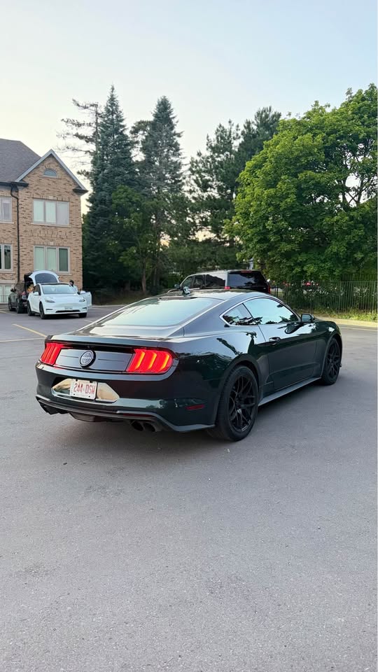 2020 Ford mustang
