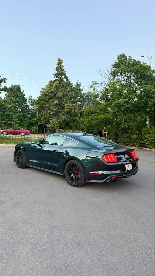 2020 Ford mustang