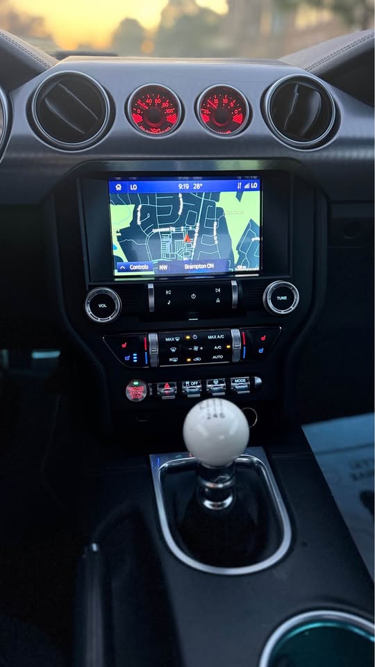 2020 Ford mustang